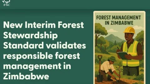 Zimbabwe’s Interim Standard Aims to Halt Deforestation and Advance Sustainable Forestry
