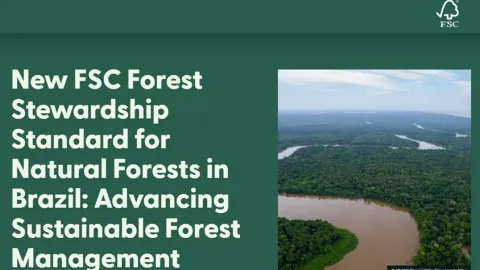 New FSC Standard Advances Sustainable Forest Management in Brazil