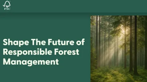 FSC Opens Consultations on Core Forest Management Standards