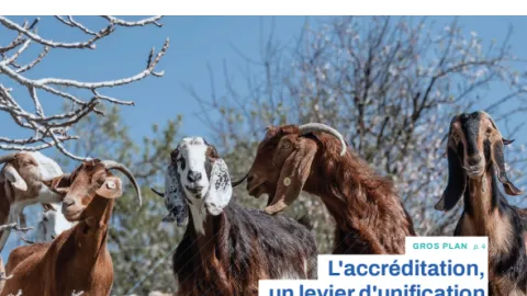 Cheese Diplomacy in Accreditation Headlines Final Cofrac Compétences Issue of 2025