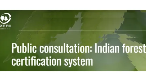 Global Stakeholders Invited to Comment on India’s Revised Forest Certification System