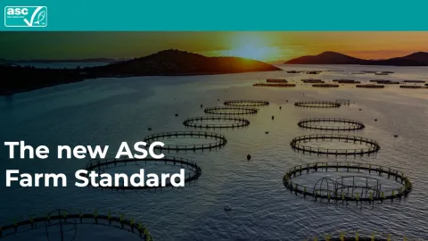 ASC to Replace 12 Species-Specific Frameworks with New Unified Farm Standard