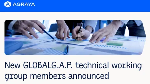 GLOBALG.A.P. Replaces Technical Committees With Five Working Groups and Names Members