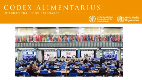 Codex Commission’s 48th Session Confirms Updates Across Core Food Safety Standards