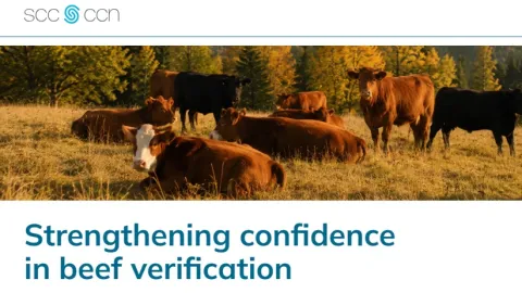 SCC Launches Accreditation Scheme for Beef Without Growth-Enhancing Products