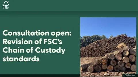 Public Consultation Opens on Revised FSC Chain of Custody Standards