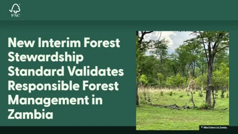 Zambia Adopts FSC Provisional Standard for Responsible Forest Use