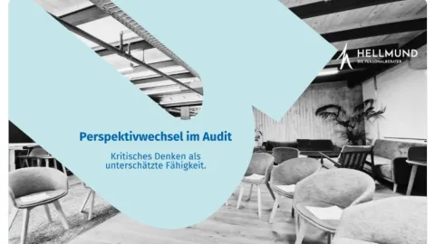 Critical Thinking as a Missing Skill in Audits