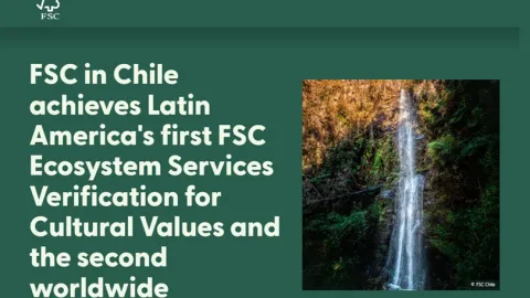 FSC in Chile Celebrates Latin America's First Cultural Values Verification