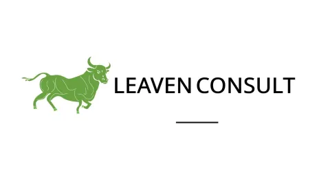 Leaven Consult