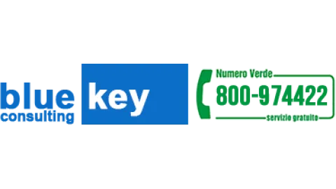 BlueKey Consulting