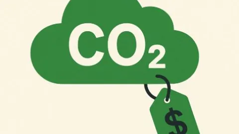 Why Carbon Pricing Needs Cooperation, Not Competition on Data Standards