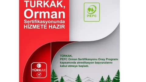 TÜRKAK Ready to Offer Accreditation for PEFC Forest Certification