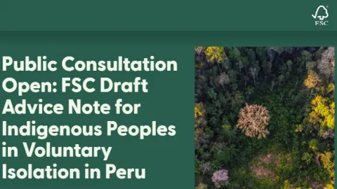 FSC Opens Consultation on Safeguards for Indigenous Peoples in Isolation in Peru