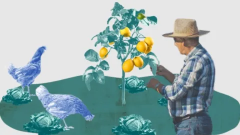 EU Agrees to Revise Organic Import Rules and Ease Certification Requirements