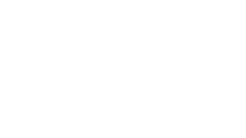 New Paradigm Consulting