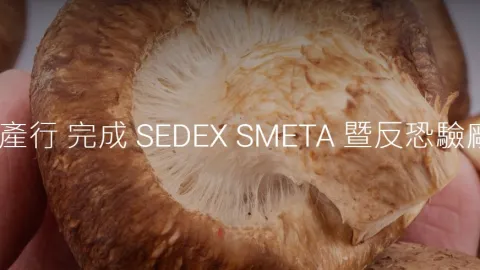 Kun Song Completes SMETA and Anti-Terror Audit Preparation