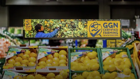 GGN Label Updates Sustainability Claims as EU Rules Begin to Apply