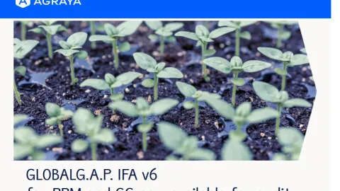GLOBALG.A.P. IFA Version 6 Audits Now Available for Combinable Crops and Plant Propagation Material