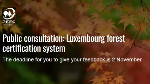 Luxembourg Opens Consultation on Forest Certification System