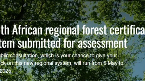 South African Forest Certification Expands Regionally and Enters PEFC Assessment