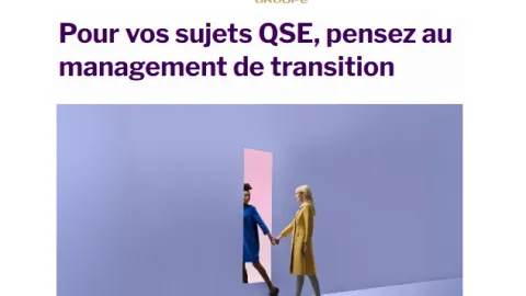 Need QSE Talent? AFNOR BAO Connects Firms With Interim Managers Who Work Alongside Teams