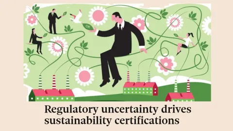 Companies Turn to Sustainability Certifications Amid Regulatory Uncertainty