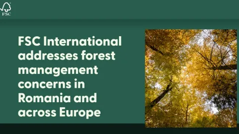 FSC Addresses European Forest Certification Concerns as Romanian Harvesting Comes Under Review