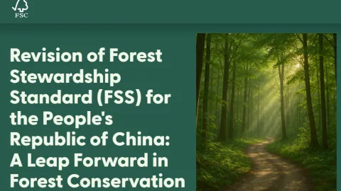Revised Chinese Forest Stewardship Standard Boosts Biodiversity and Climate Resilience