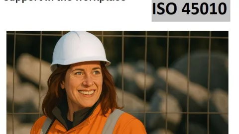 Draft ISO 45010 Guidance on Menstruation and Menopause in the Workplace Open for Comment