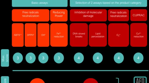 AFQ Certification Launched to Verify Antioxidant Activity and Bioactivity in Foods