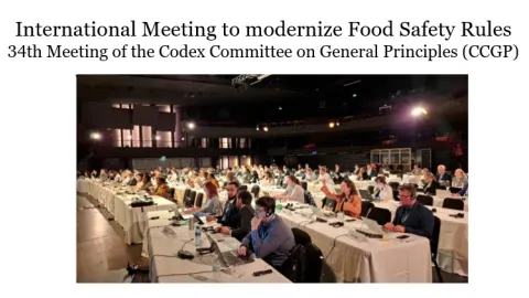 Codex Committee on General Principles Meets in Lille to Discuss Updates to Procedural Manual
