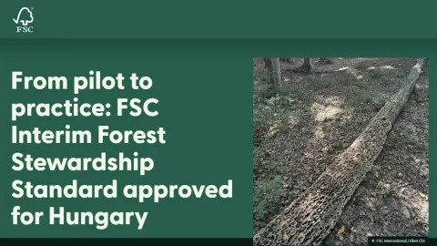 FSC Interim Forest Stewardship Standard Approved for Hungary
