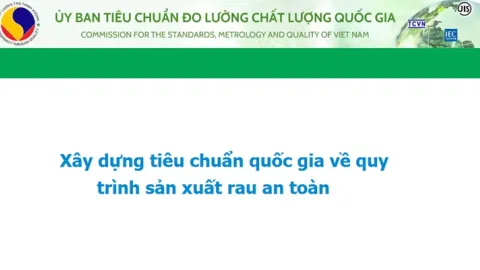 Vietnam Develops Draft National Standard for Safe Vegetable Production