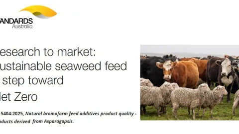 World-First Seaweed Feed Standard Drives Australia Toward Net Zero