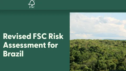Brazil First in Latin America With EUDR-Aligned FSC Risk Assessment