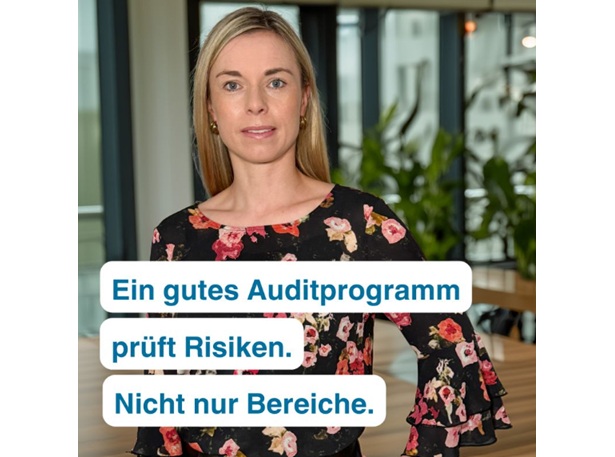 Audit Programs Should Focus on Risks, Not Just Schedules