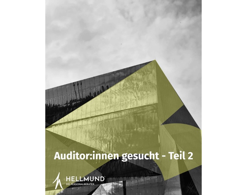 Rethinking The Future Of Audits: Remote Experts, AI Support And Augmented Reality