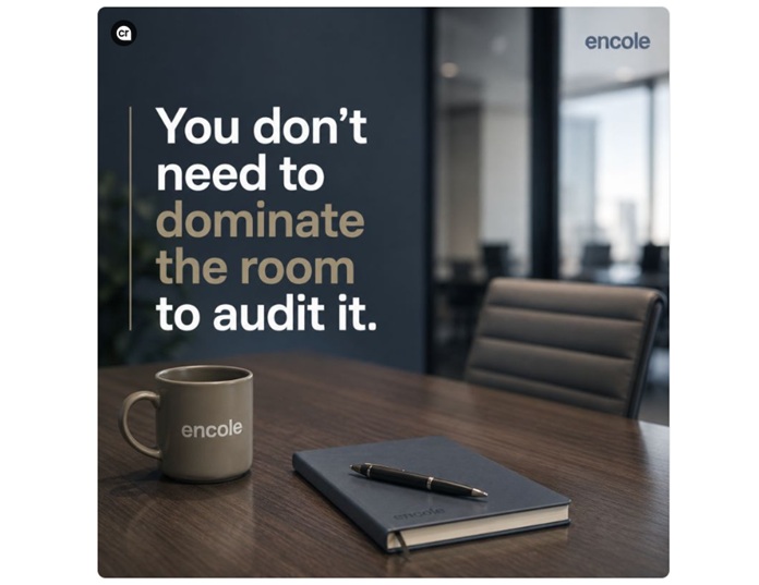 Auditors Do Not Need to Dominate the Room to Be Effective