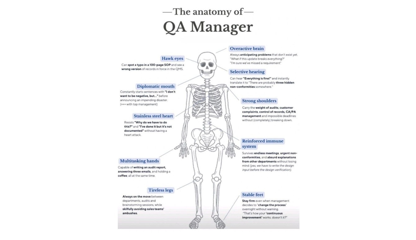 The Anatomy of Excellence: Sketching the Perfect Quality Assurance Manager